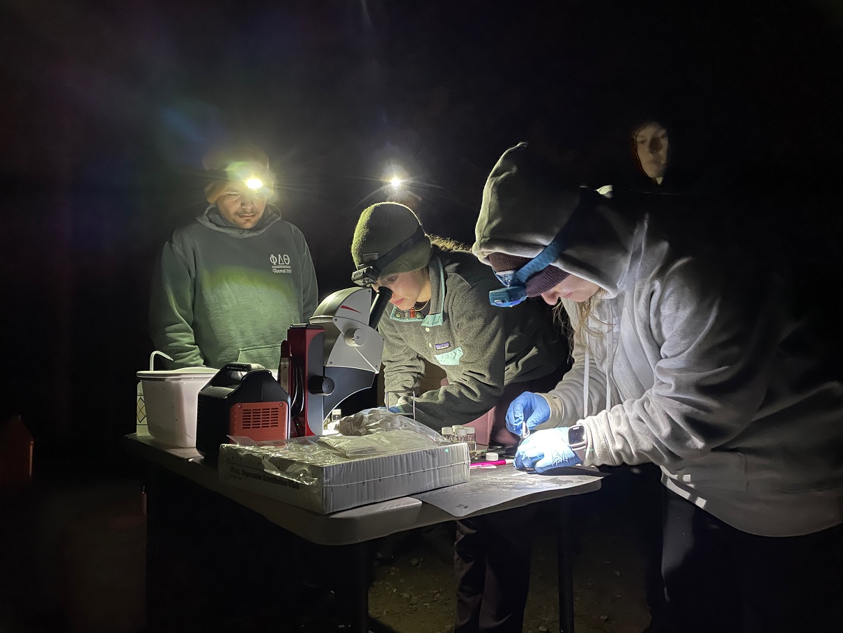 night trout research