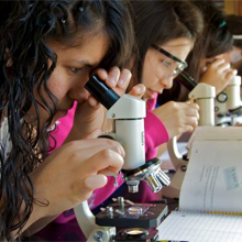 students at microscopes
