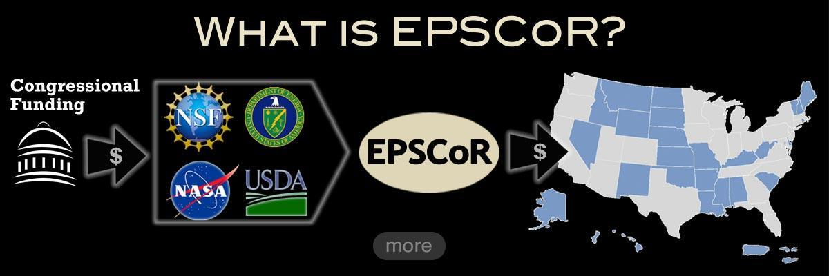 What is EPSCoR?